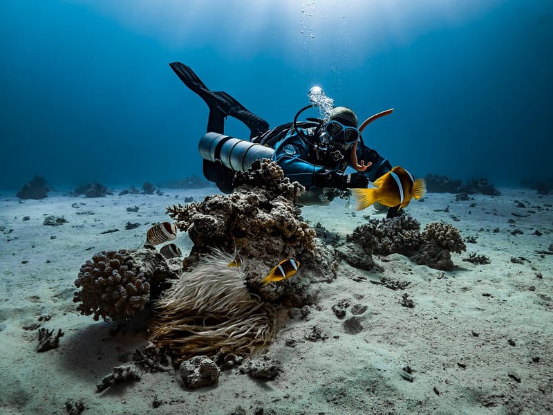 Diving Regulator