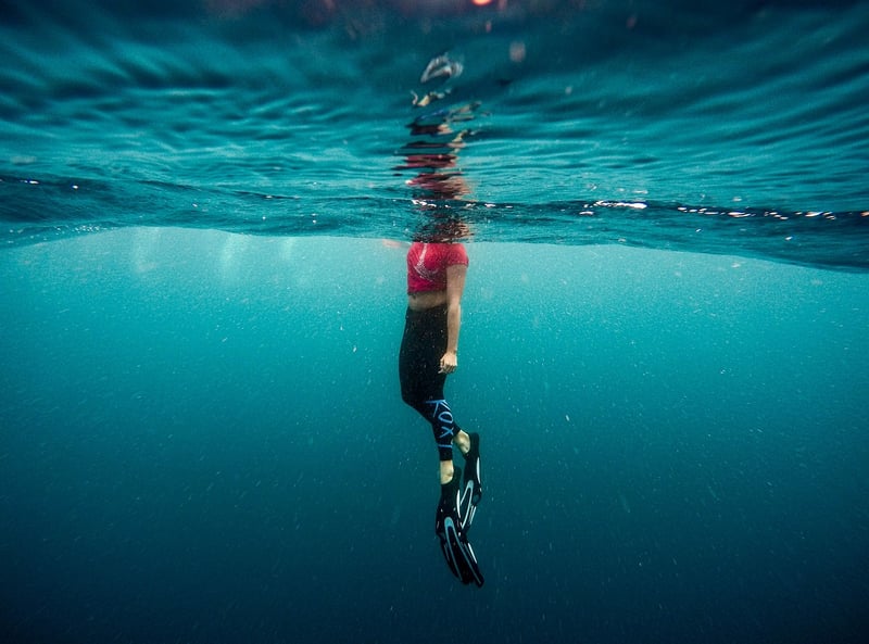 Snorkel