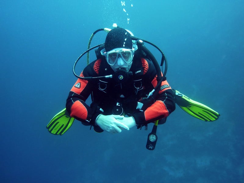 Diving Fins
